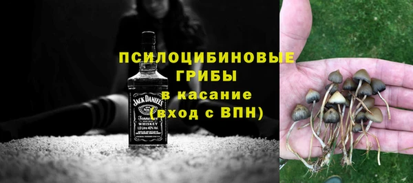 прущие грибы Алексин