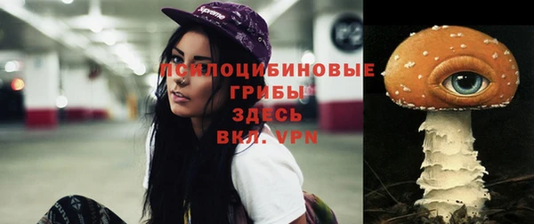 прущие грибы Алексин