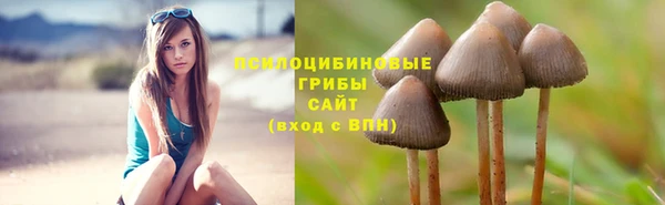 прущие грибы Алексин